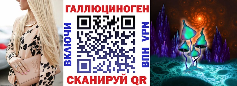 Купить  Любань  Галлюциногенные грибы прущие грибы 